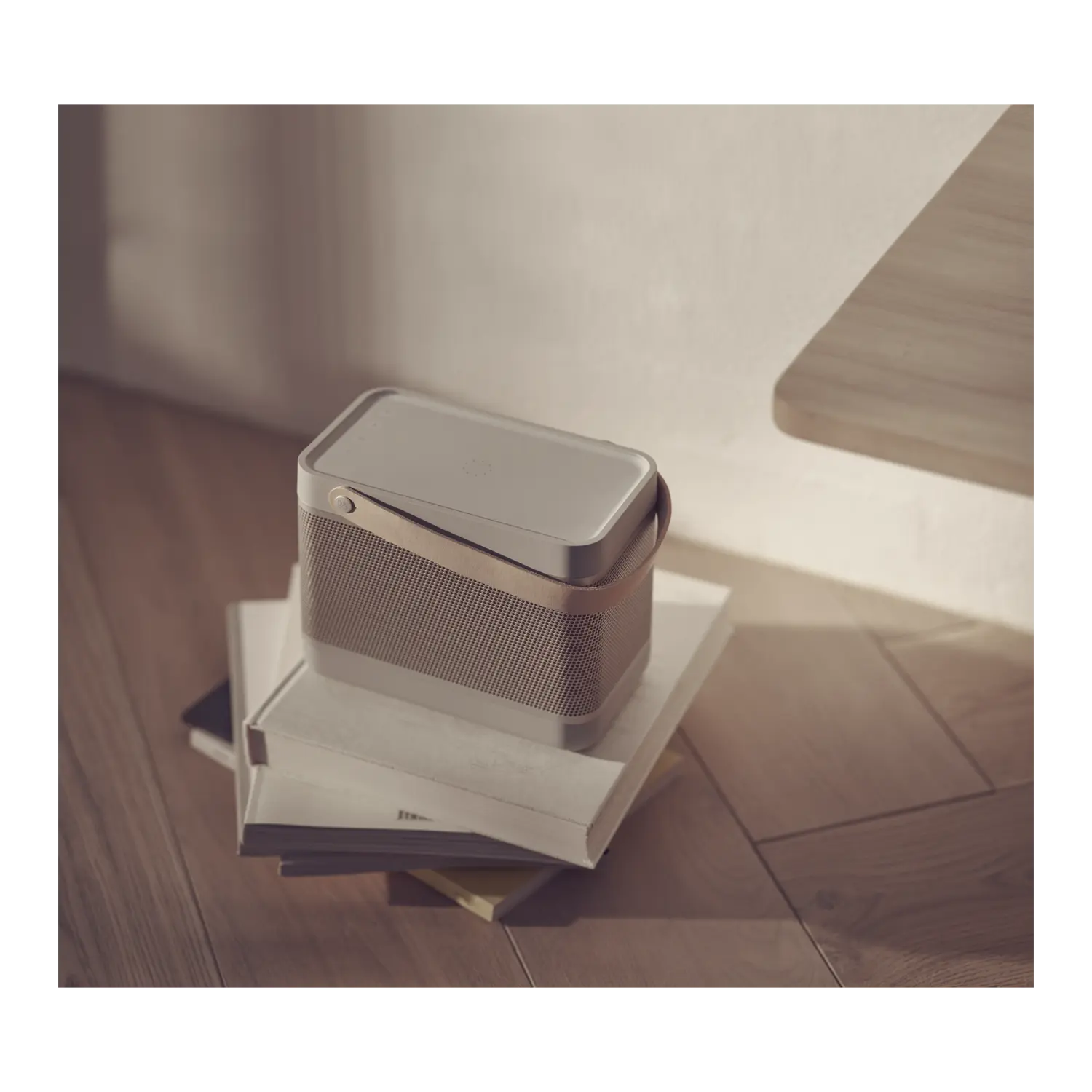 Bang & Olufsen Beolit 20 Bluetooth® Speaker, Grey Mist - Worldshop