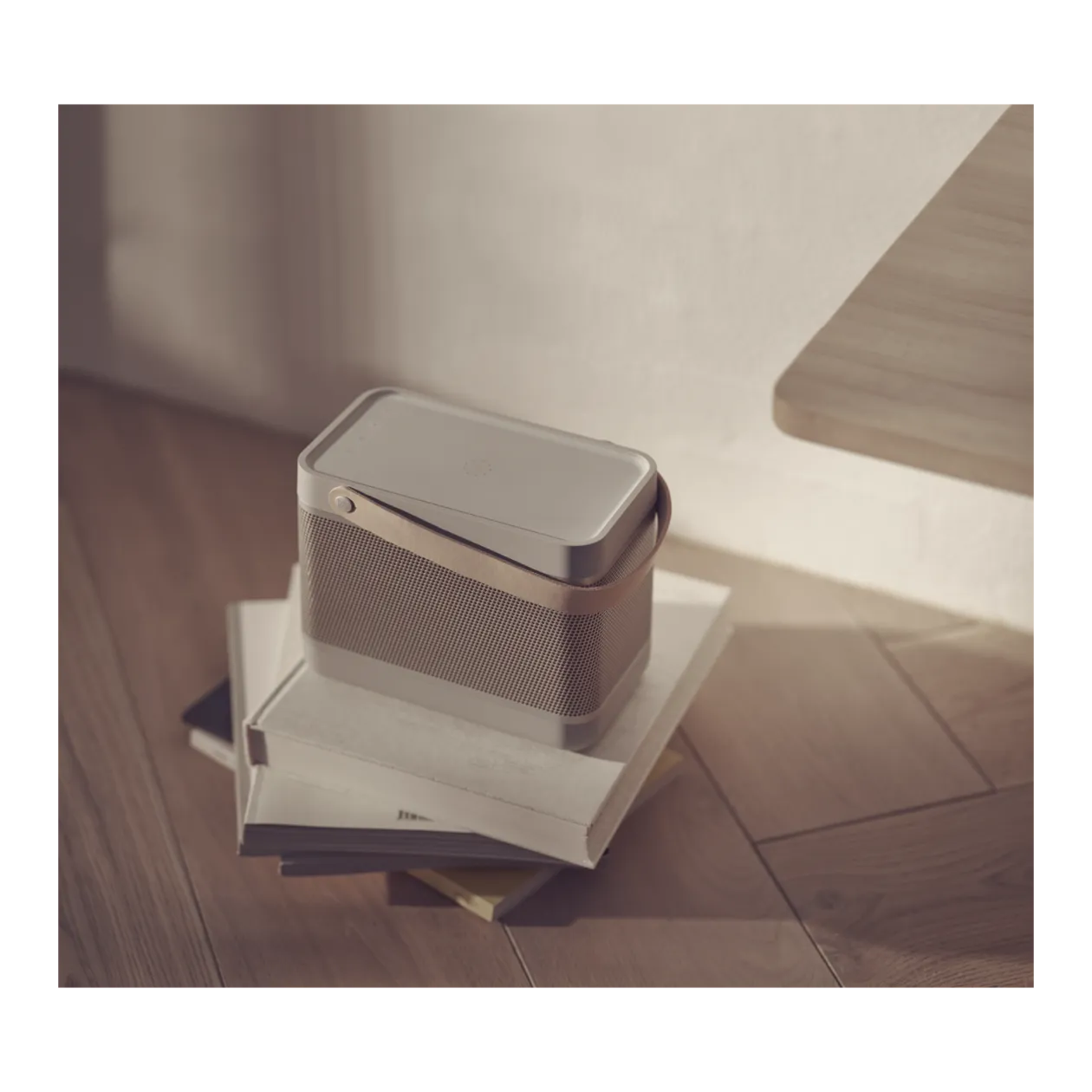 Bang & Olufsen Beolit 20 Bluetooth® Speaker, Grey Mist - Worldshop