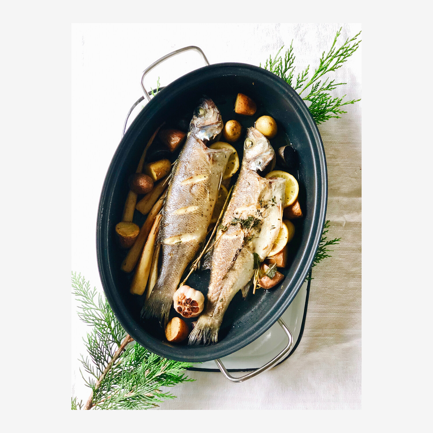 WMF Gourmet-Fischpfanne mit Glasdeckel, oval, 38 x 26 cm 