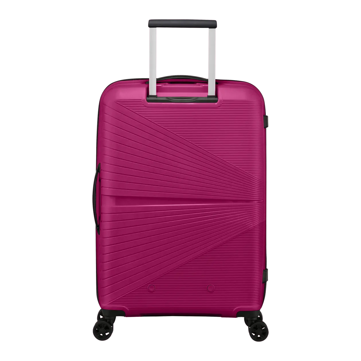 American tourister 26 2025