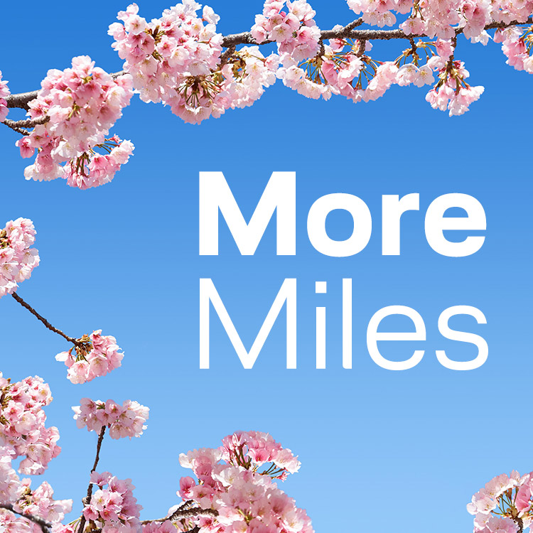 5-fache Prämienmeilen auf ausgewählte Vinothek-Artikel