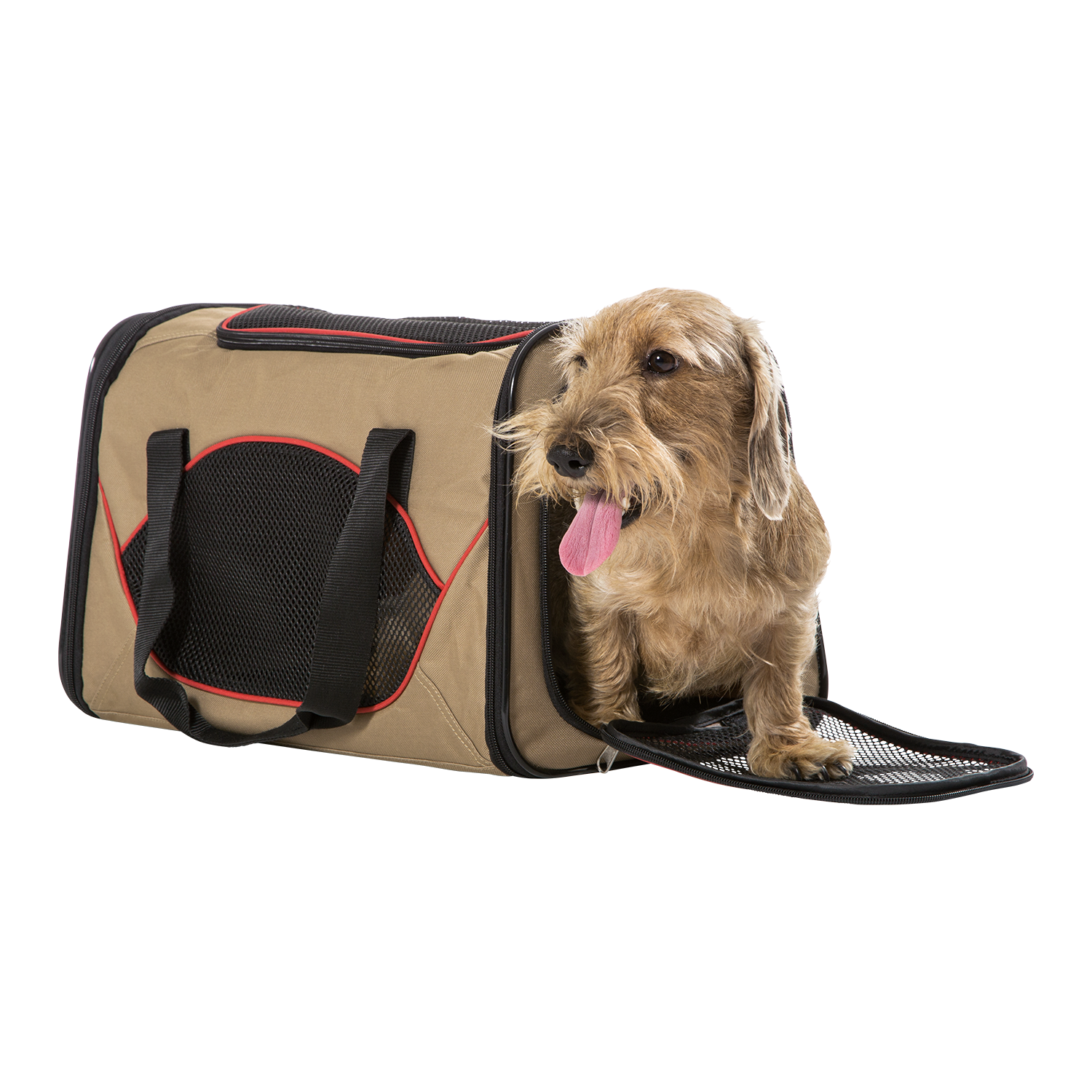 hunter dog carrier